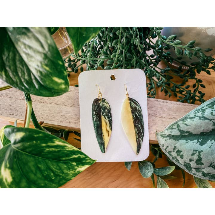Monstera Standleyana Plant Leaf Jewelry, Necklace, Home, Pin for wholesale by hethr