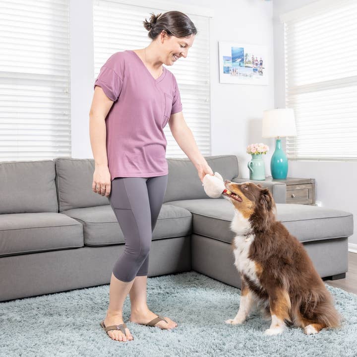 Downtown Pet Supply - Wholesale Knuffelspeeltje - Hond - 2-in-1 knuffelspeelgoed met haaien en kippen8