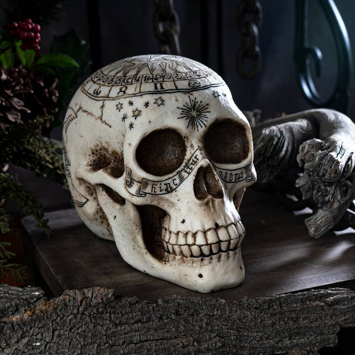 Pacific Trading - Wholesale Decorative tabletop object - Astrology Skull Head3