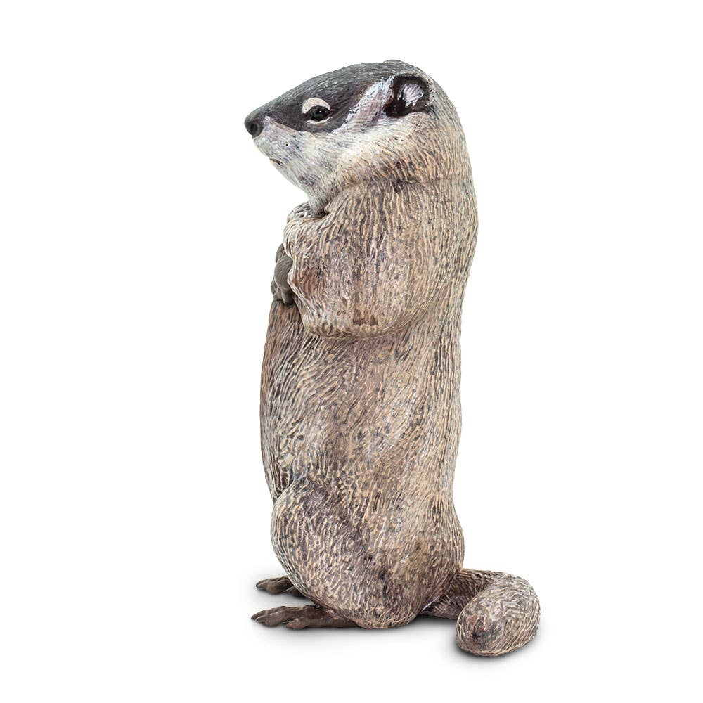 Safari Ltd. - Wholesale Decorative Figurine - Groundhog - 1001182