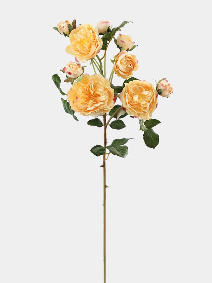 Golden Yellow Tea Roses 20" for wholesale by Prestige Botanicals