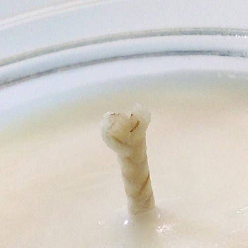 Nola and neighbors – Engroshandel Glaslys – Rougarou, sojalys med duft af cedertræ - BESTSELLER2