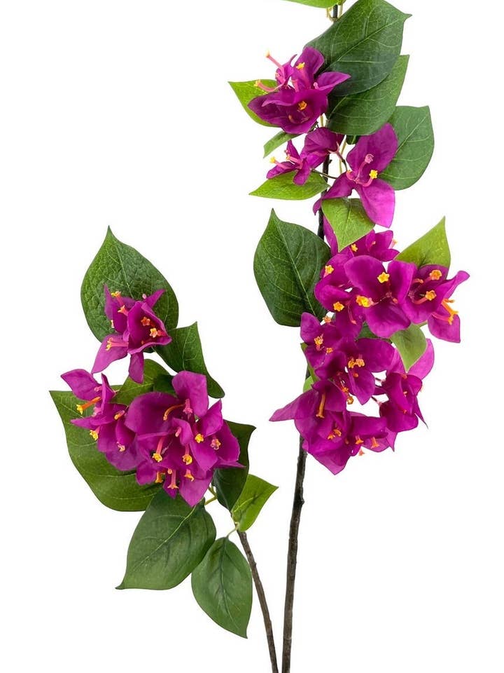 Bougainvillea Branch X2 Purple 80cm (48cm) for wholesale by Aguilar Málaga