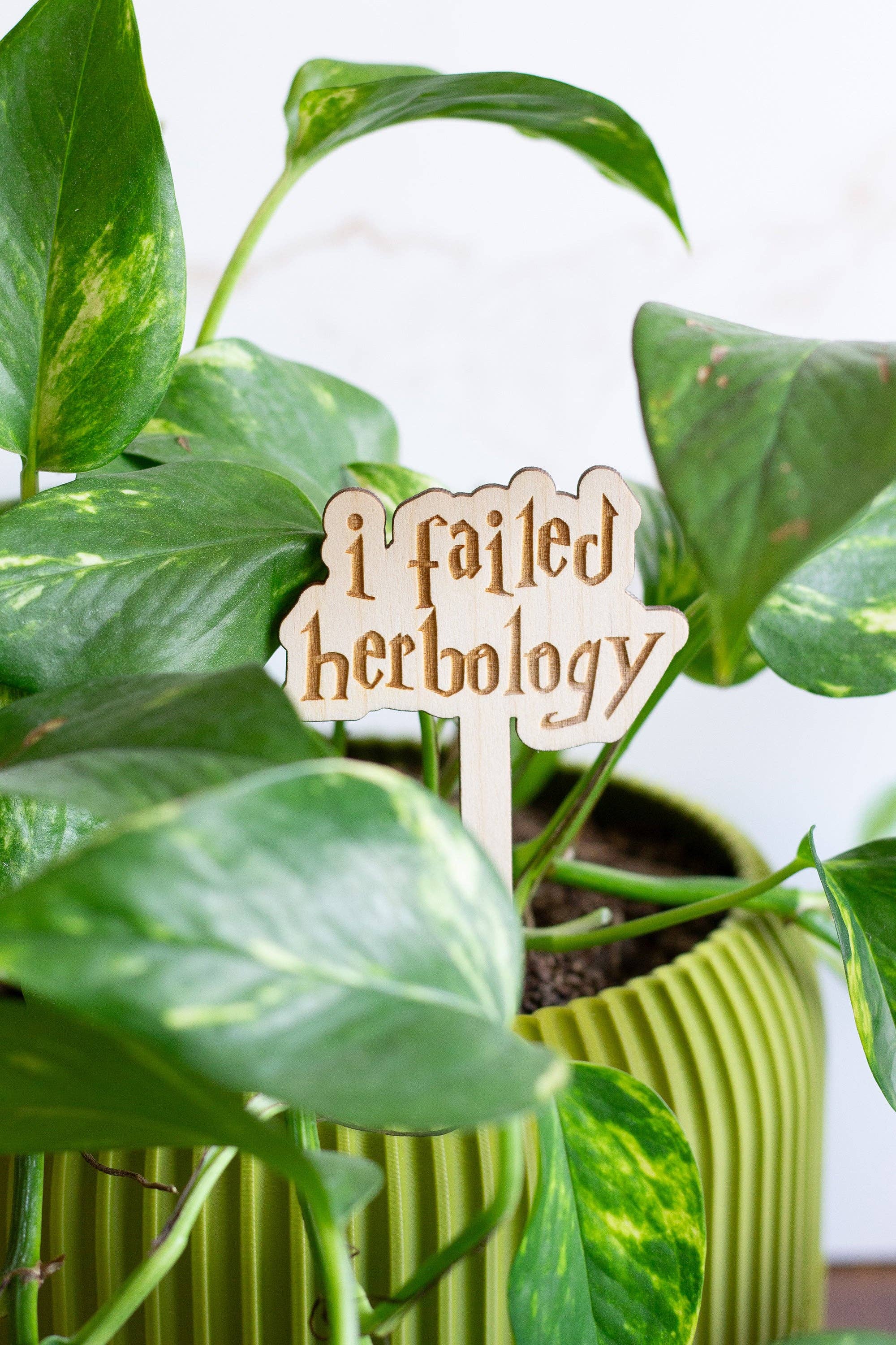 The Print Pantry - Wholesale Garden/Lawn Stake - Harry Potter Wooden Plant Markers1