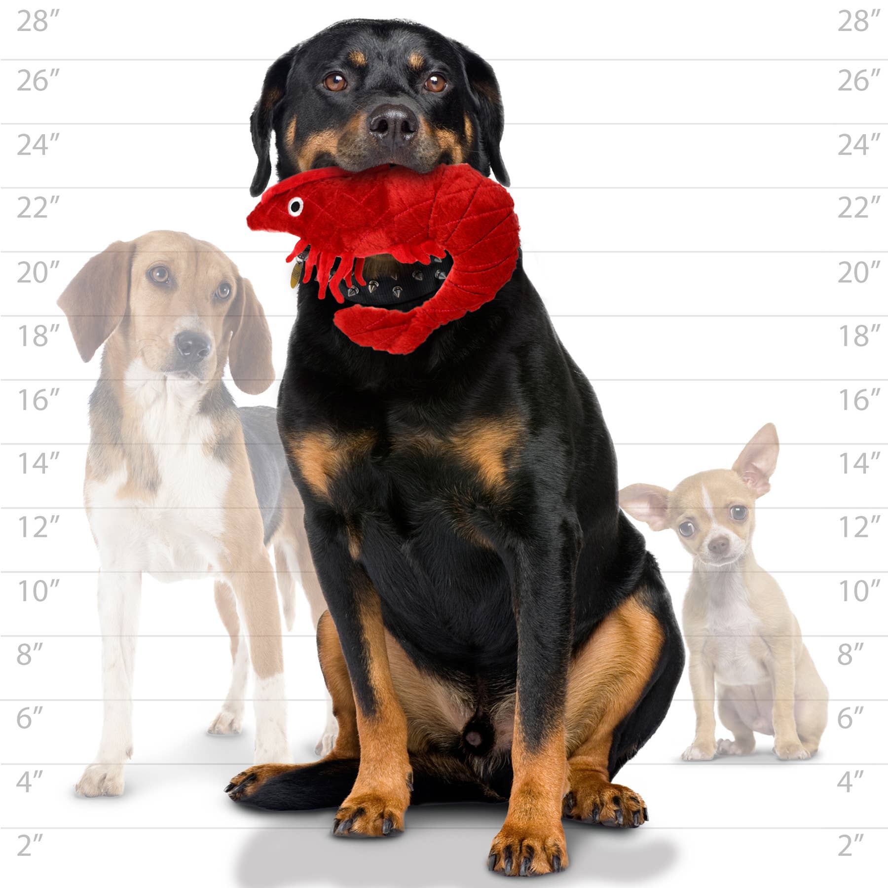 Tuffy Dog Toys - VIP Products - Wholesale Pet Squeaky Toy - Dog - Mighty Ocean Prawn, Plush, Squeaky Dog Toy5