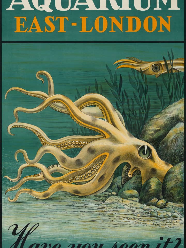 Poster di viaggio Aquarium East-London per la vendita all'ingrosso da parte di Print Collection