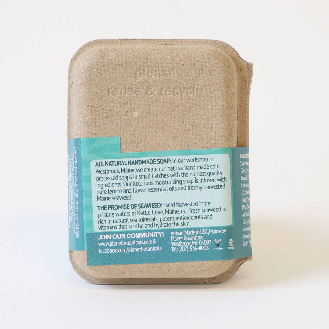 Planet Botanicals - Wholesale Bar Soap - Seaweed Hand Made Bar Soap1