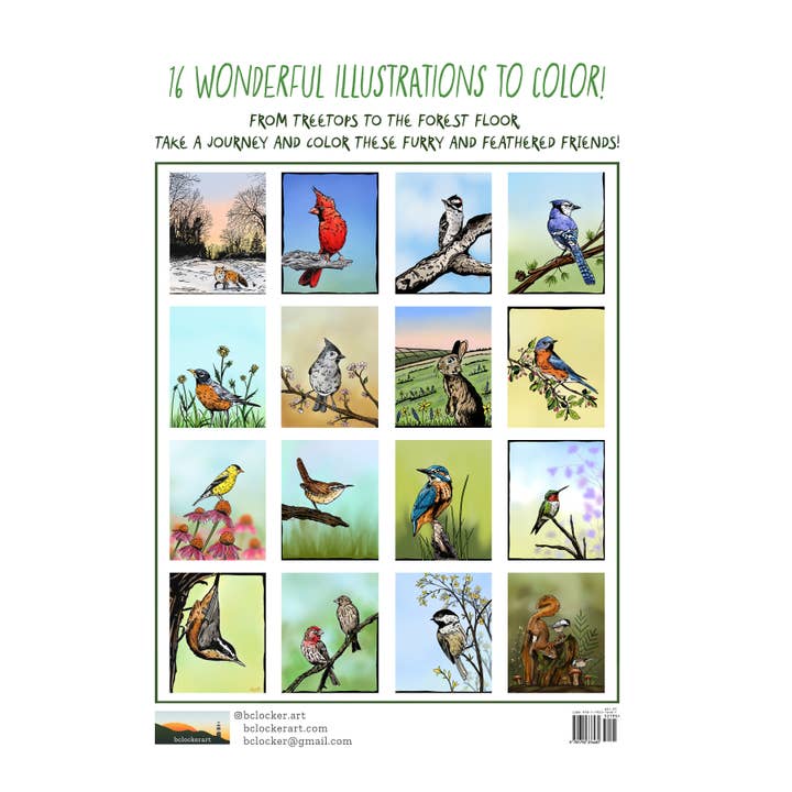 bclockerart - Wholesale Coloring & Activity Book - Kids & Baby - Forest Friends Coloring book2