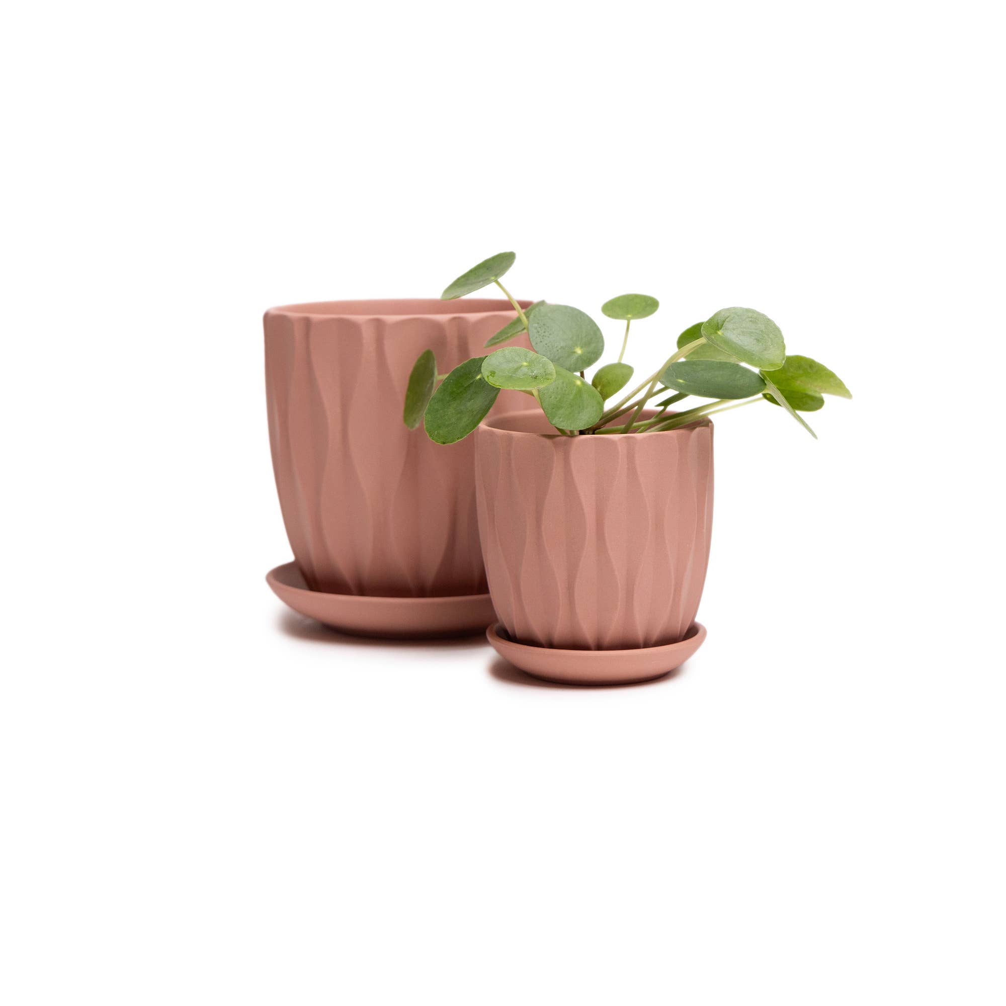 Chive - Wholesale Plant Pot - Handmade Ceramic Virago Pots | Artisan Plant Planters37