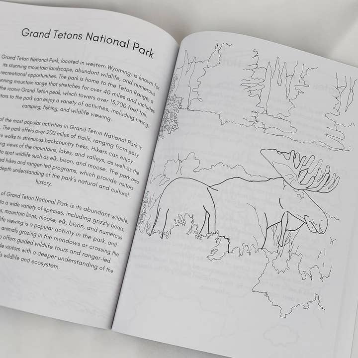 National Parks and Beyond - Wholesale Coloring & Activity Book - Adult - Color Your Way through the National Parks, Coloring book4