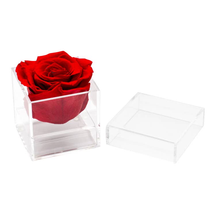 Mini Bloom for wholesale by Eternal Fleur