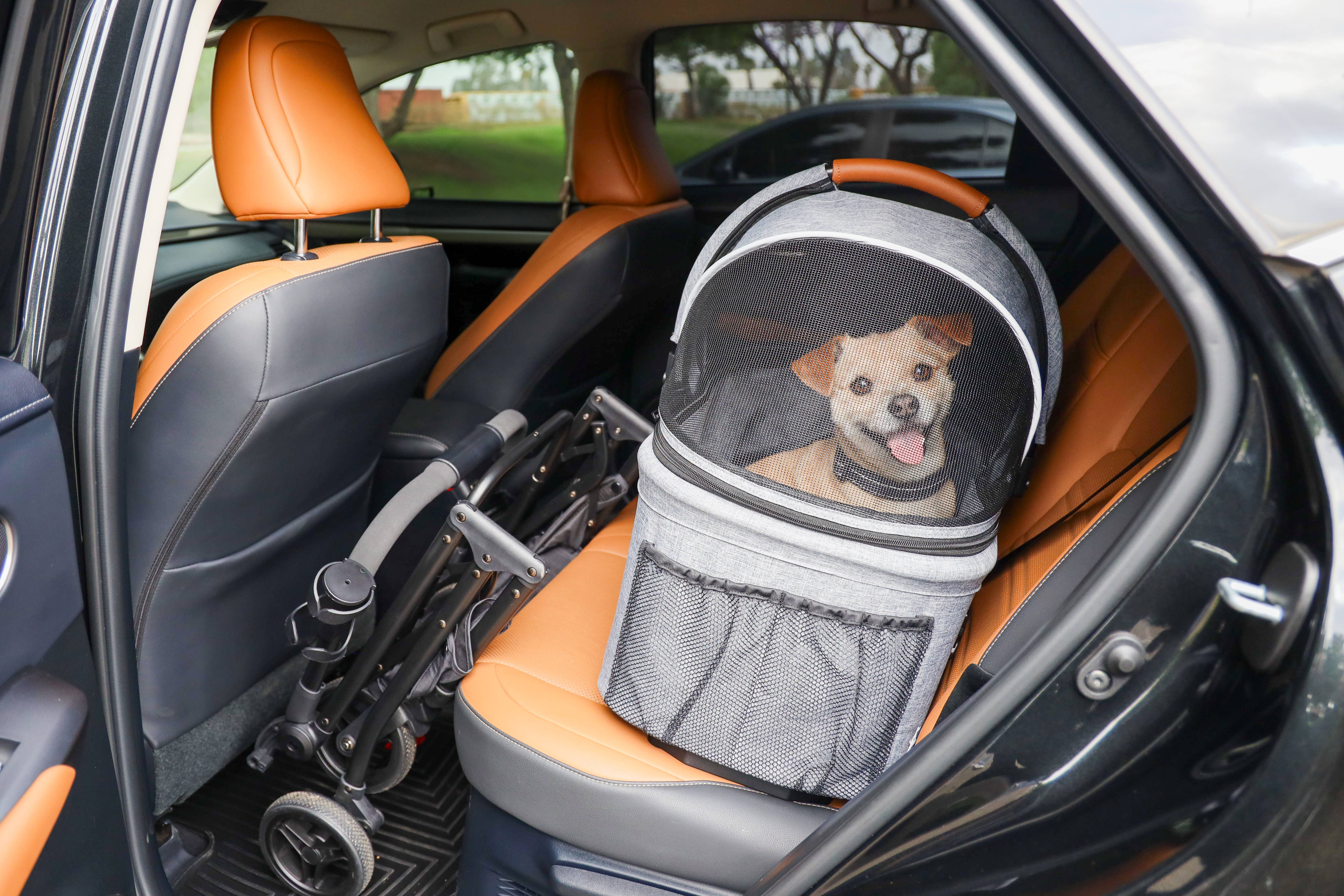 Only An Ocean Europe – wholesale Transportbur – Katt och hund – Petique 3-i-1 resesulky för husdjur med tri-fold design16