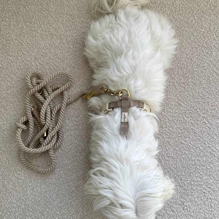 BEIGE puppy / Adjustable and soft dog leash for wholesale on Faire