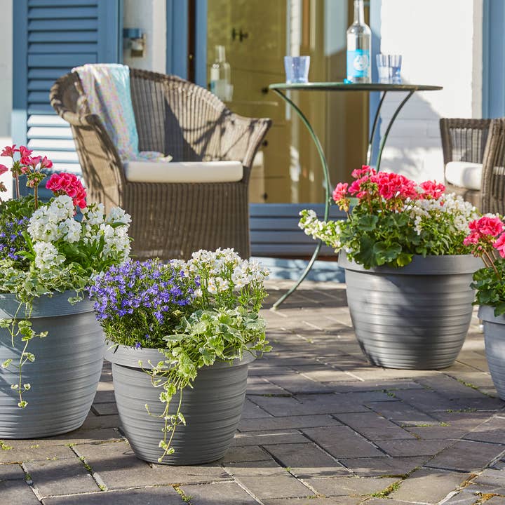 Scheurich - Vente Pot - Country Star 270 bac à fleurs/plante en plastique7