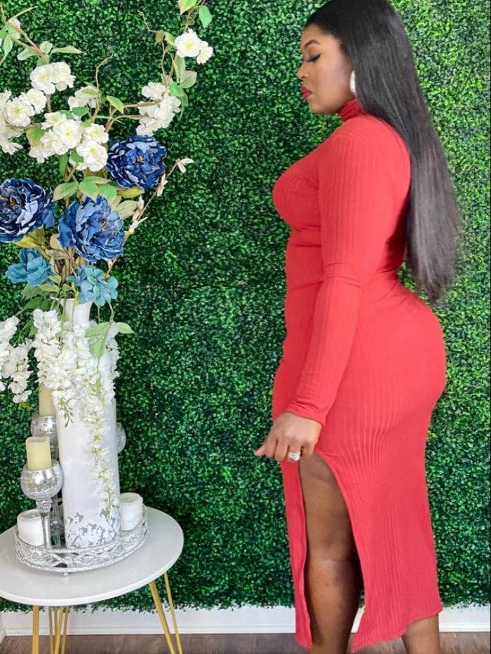 Il vestito lungo a collo alto "Prendere o Lasciare" per la vendita all'ingrosso da parte di House of Celine