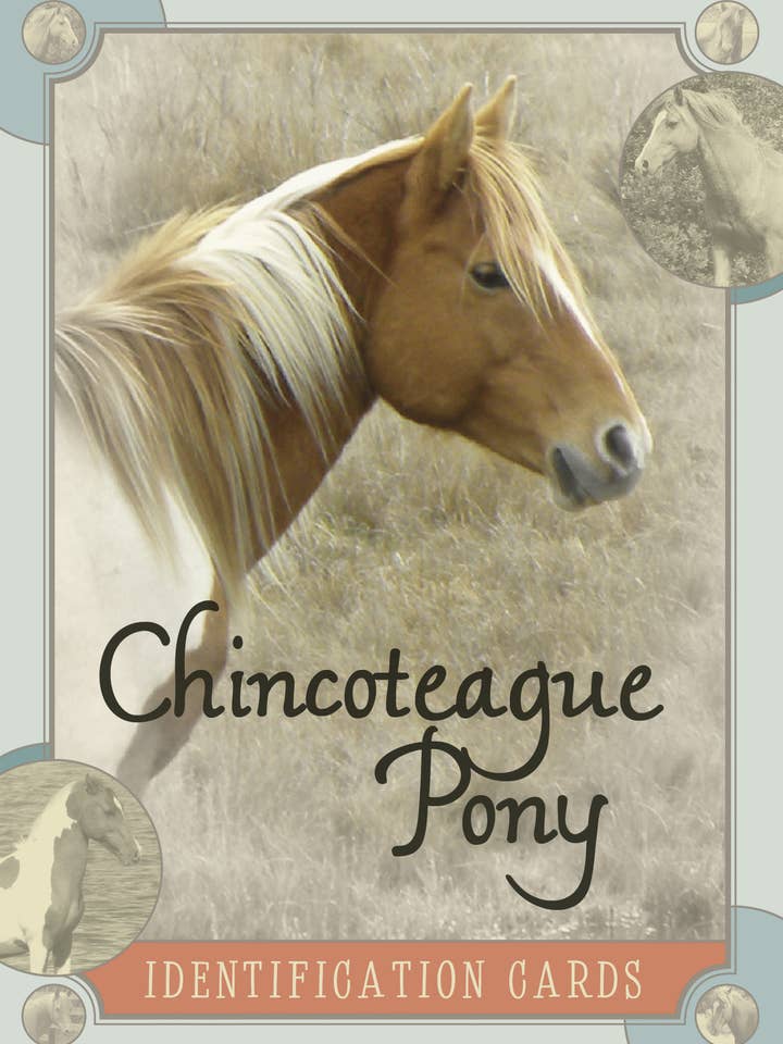 Cartes d'identité Chincoteague pour poneys - Comprend 75 poneys pour la vente par Schiffer Kids