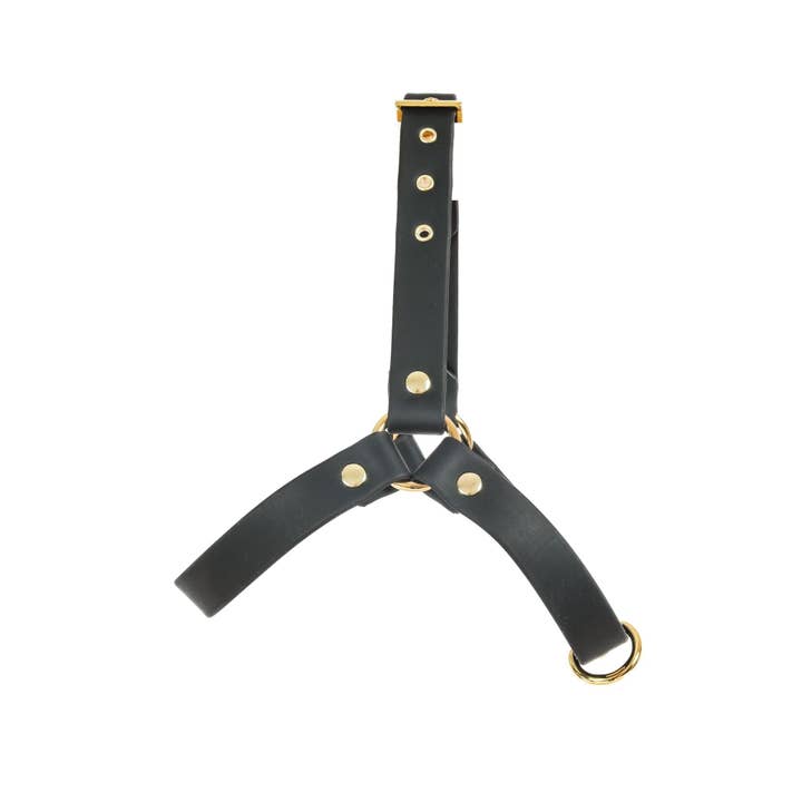 Cavology - Vendita all'ingrosso Pettorina - Cani - PETTORINA PER CANI STEP IN LUXE NERA E ORO