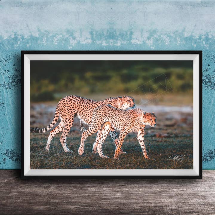 Cheetah Art Print - Boho Style - Acrylic for wholesale by Clifton Haley Photography