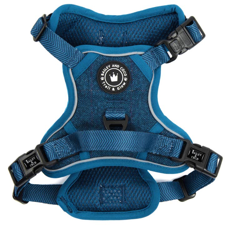 Trail & Glow Tweed Dog Harness - Sapphire Tweed for wholesale by Bailey and Coco