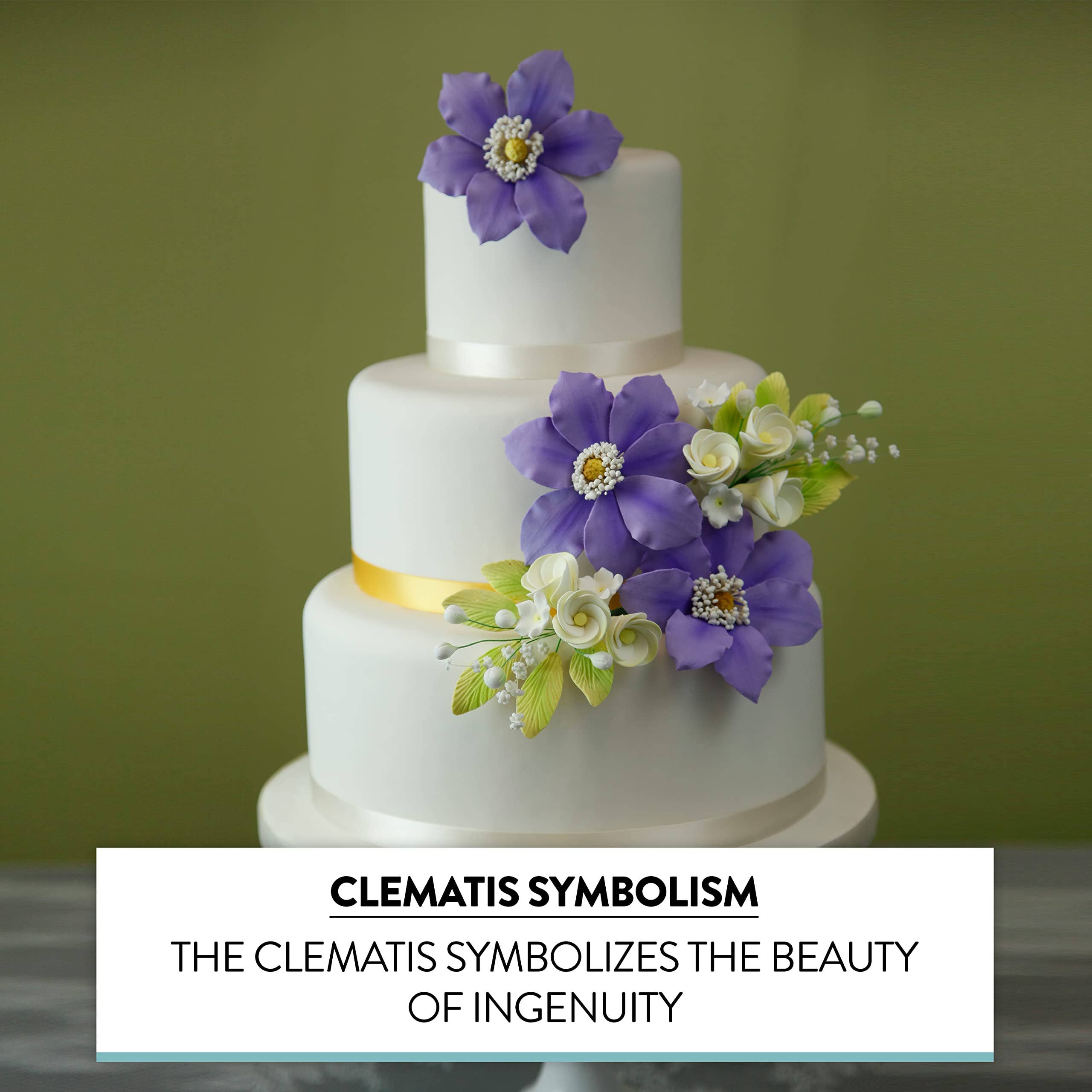 Global Sugar Art - Wholesale Cake/Cupcake Topper - Clematis Gum Paste Sugar Cake Flowers by Global Sugar Art, Purple, 3 Count4