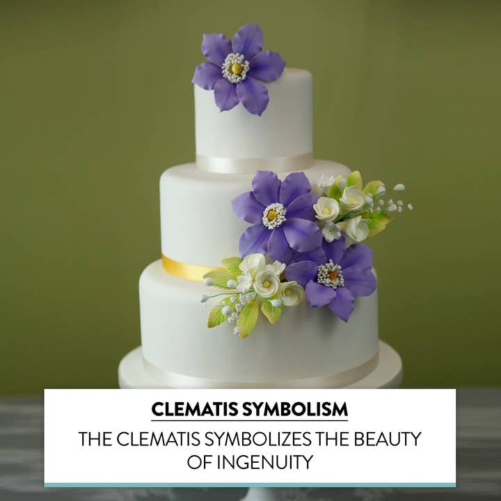 Global Sugar Art - Wholesale Cake/Cupcake Topper - Clematis Gum Paste Sugar Cake Flowers by Global Sugar Art, Purple, 3 Count4