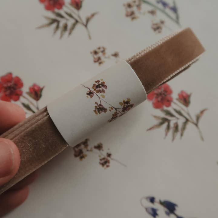 MyDesignPictures - Wholesale Ribbon - Gift Wrapping - Velvet ribbon LIGHT BROWN length 2,5m/width 16mm