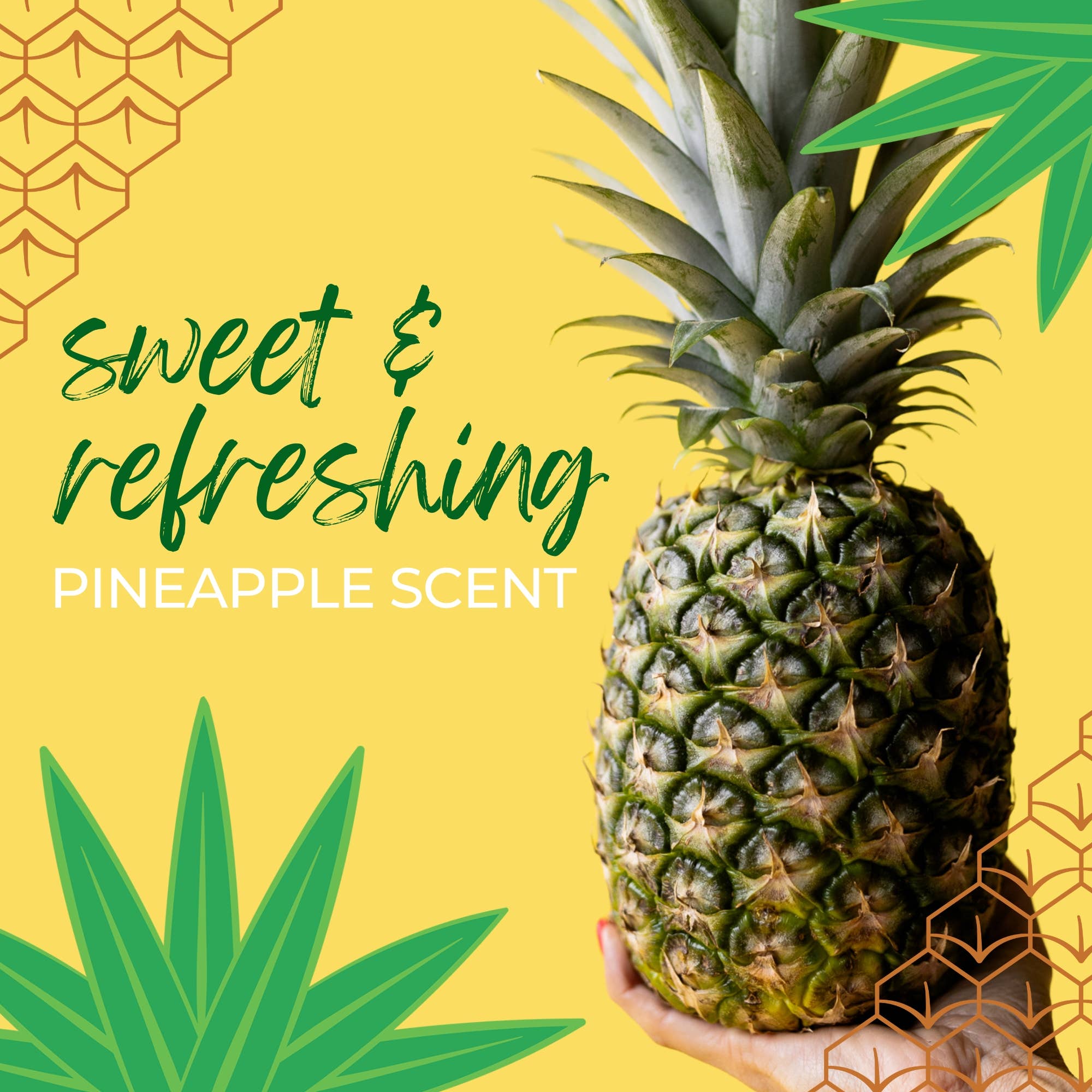 Viori Beauty - Wholesale Body Scrub/Exfoliant - LIMITED Sugar Scrub Bar | Pineapple8