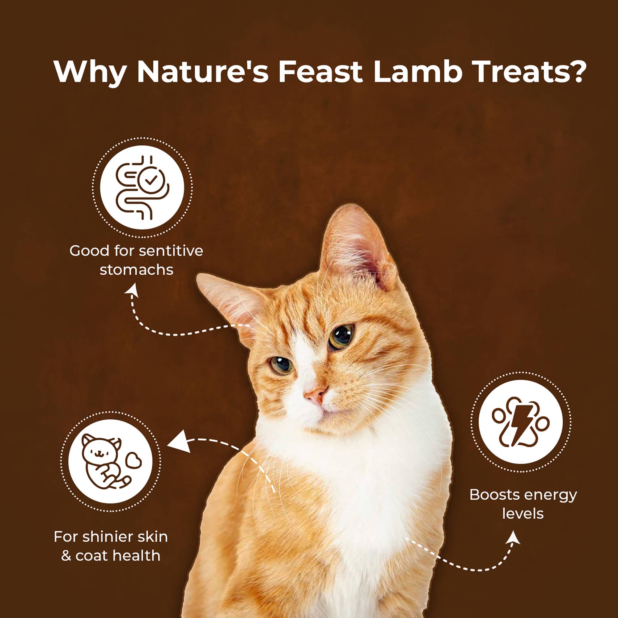 Pawfect Pet Foods Pvt Ltd - USA - Wholesale Pet Treats - Cat - Pawfect Nature's Feast Freeze-Dried Lamb Meat Treats for Cats| 100% Natural| Hypoallergenic| Easily Digestible| Grain-Free| Training Treat| High Protein| Low Fat| Single Ingredient treats(150g/5.29oz)3