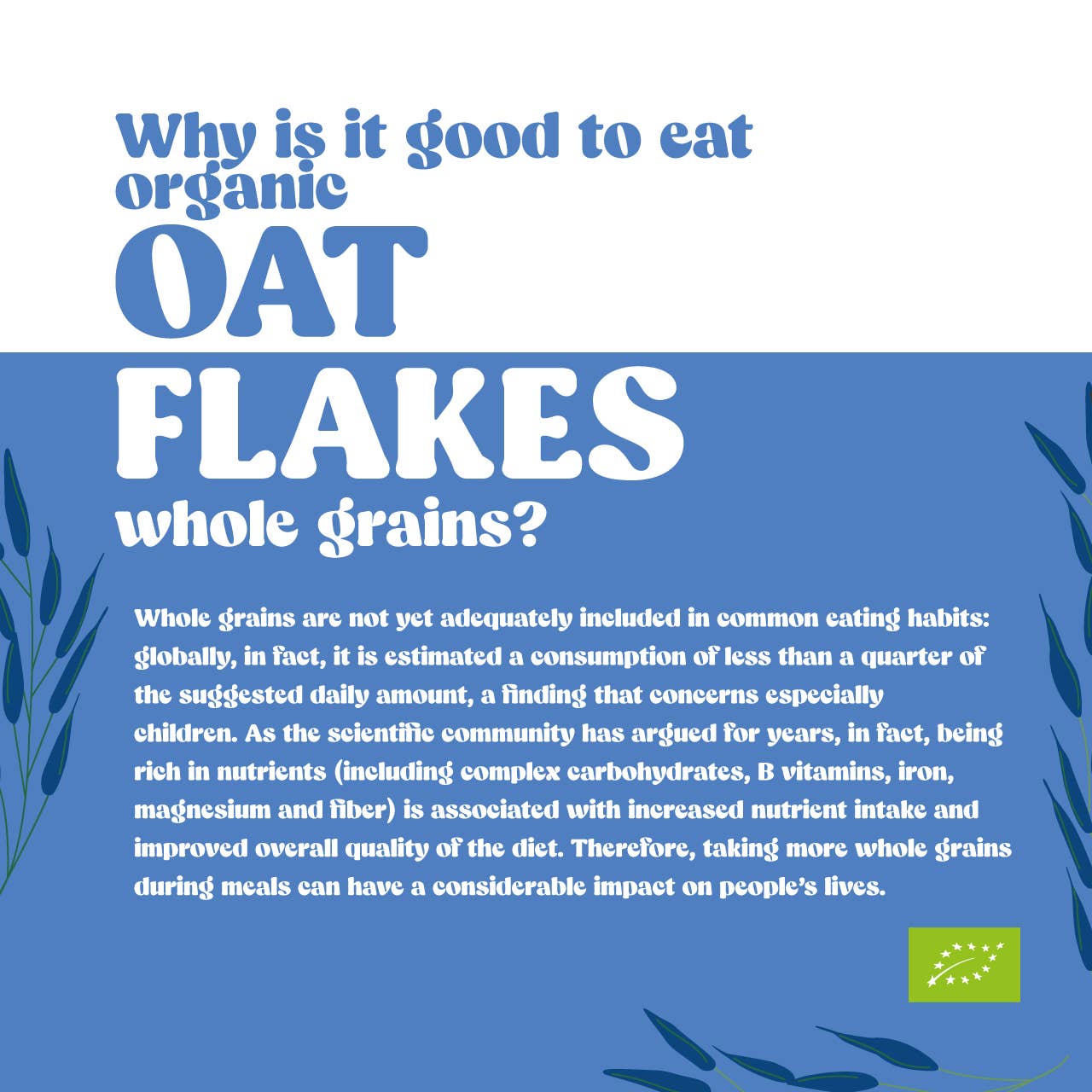 Stella Foods s.r.l. - Wholesale Oats - STELLA Organic Gluten-Free Large Oat Flakes 400g8