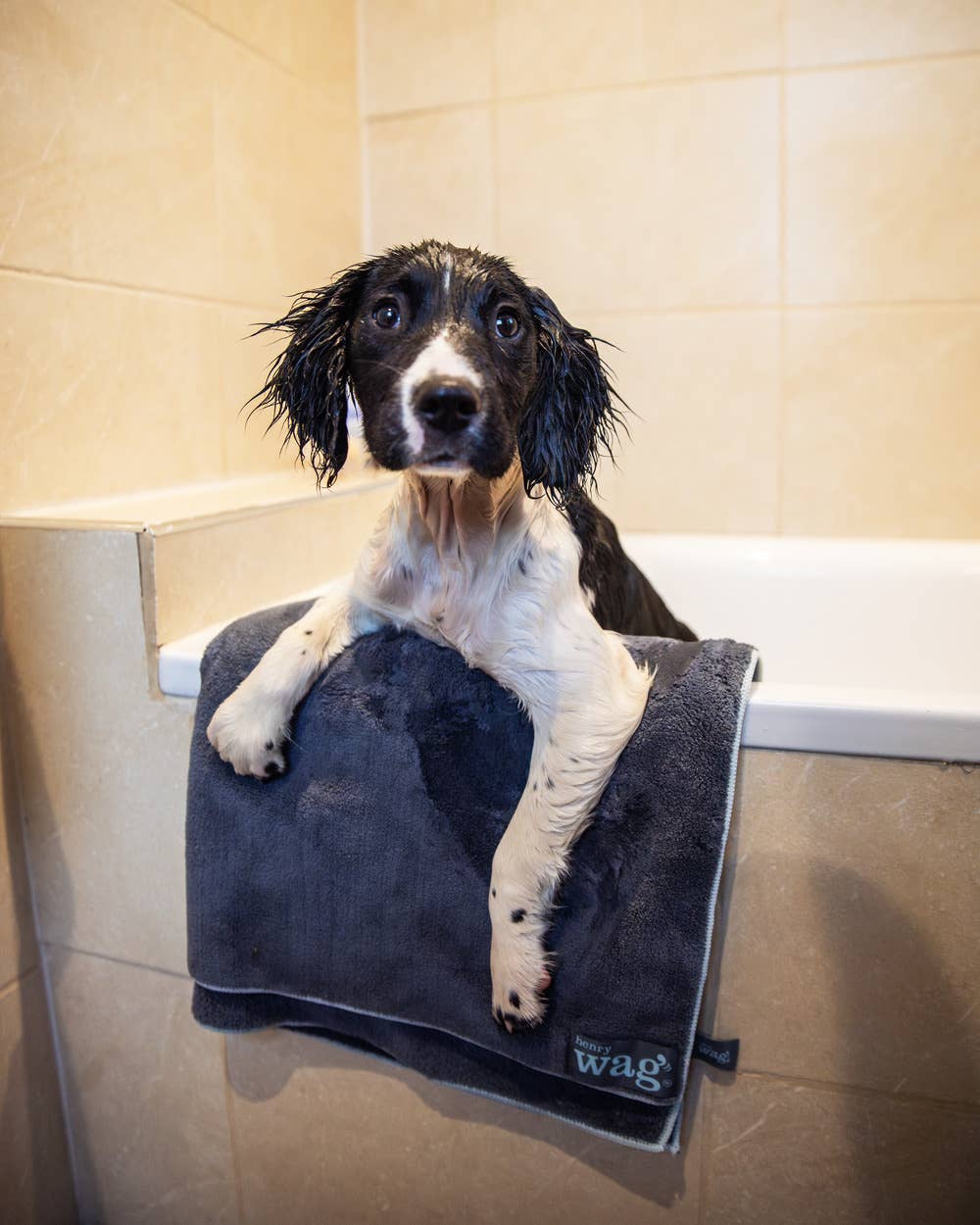 Henry Wag – wholesale Handduk - Hund – Henry Wag Pet Microfiber Handduk3