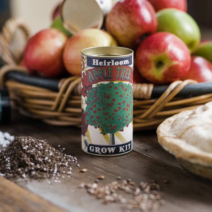 The Jonsteen Company - Wholesale Plant Seeds - Apple Tree | Seed Grow Kit