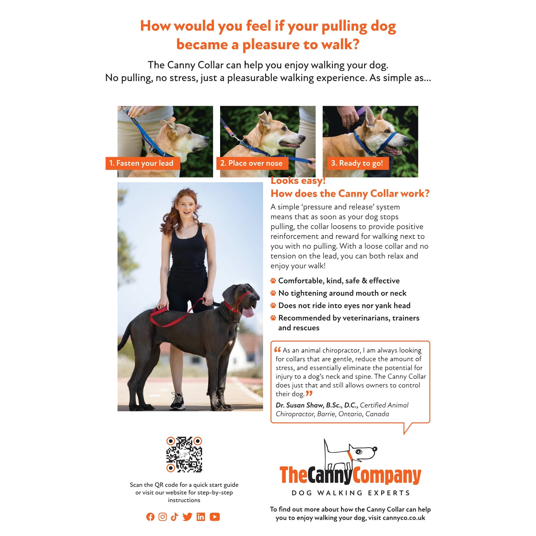 The Canny Company – wholesale Pet collar – Dog – Canny Collar Starter Kit | 10 Units, Best Selling Sizes2