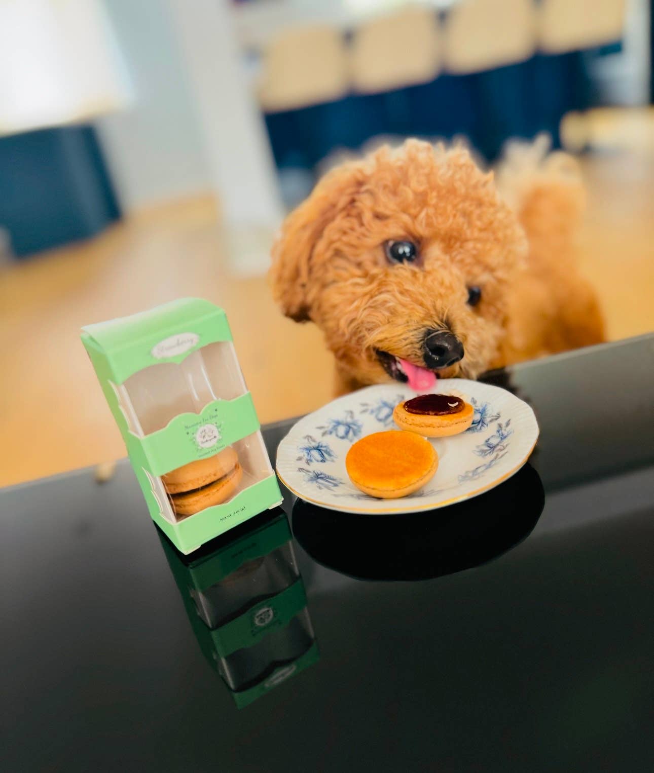 Snickerpoodle - Wholesale Pet Treats - Dog - Dog Treats-Macarons-Treats for Dog-Snacks for Dog-Dog Food