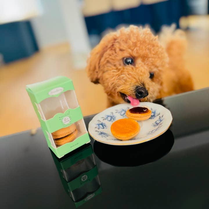 Friandises pour chiens-macarons-friandises pour chiens-snacks pour chiens et autres tendances Résultats pour friandise pour chien en vente B2B. Retours gratuits et paiement à 60 jours sur Faire sur Faire.