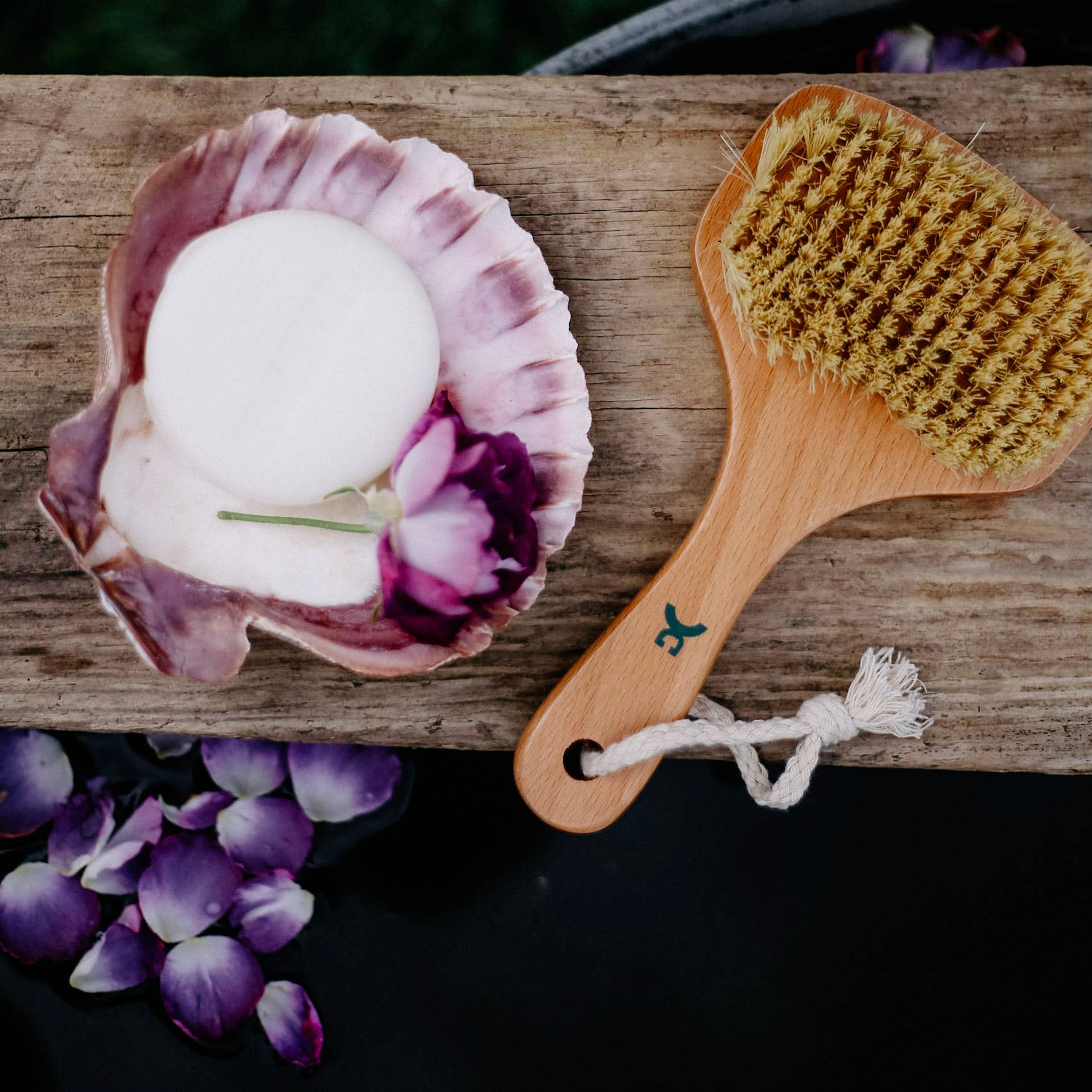 Croll & Denecke - Venta al por mayor Cepillo para el cuerpo - Cepillo vegano para baño y ducha sauna spa regalo de bienestar1