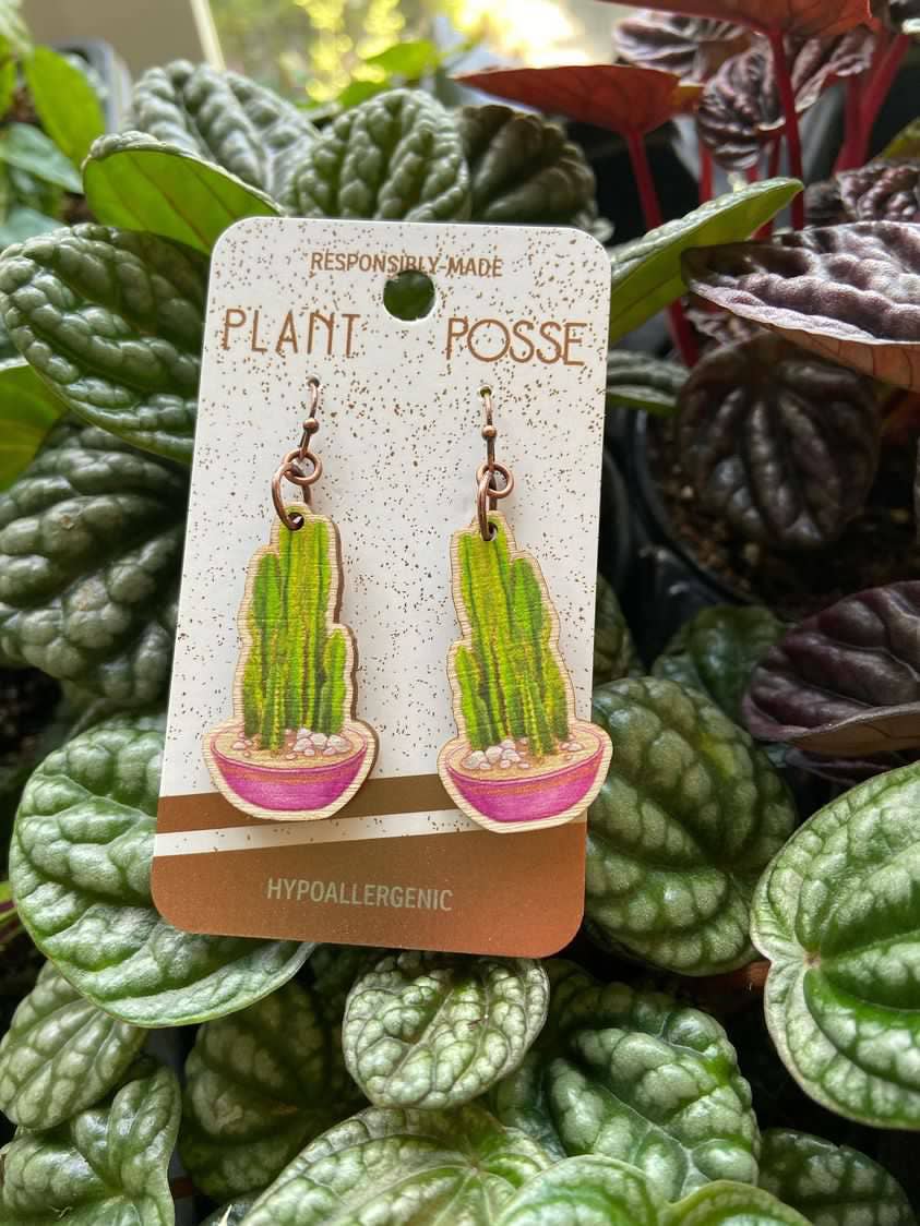 Plant Posse – Engroshandel Hængeøreringe og creoløreringe – Peruvianske kaktus øreringe2