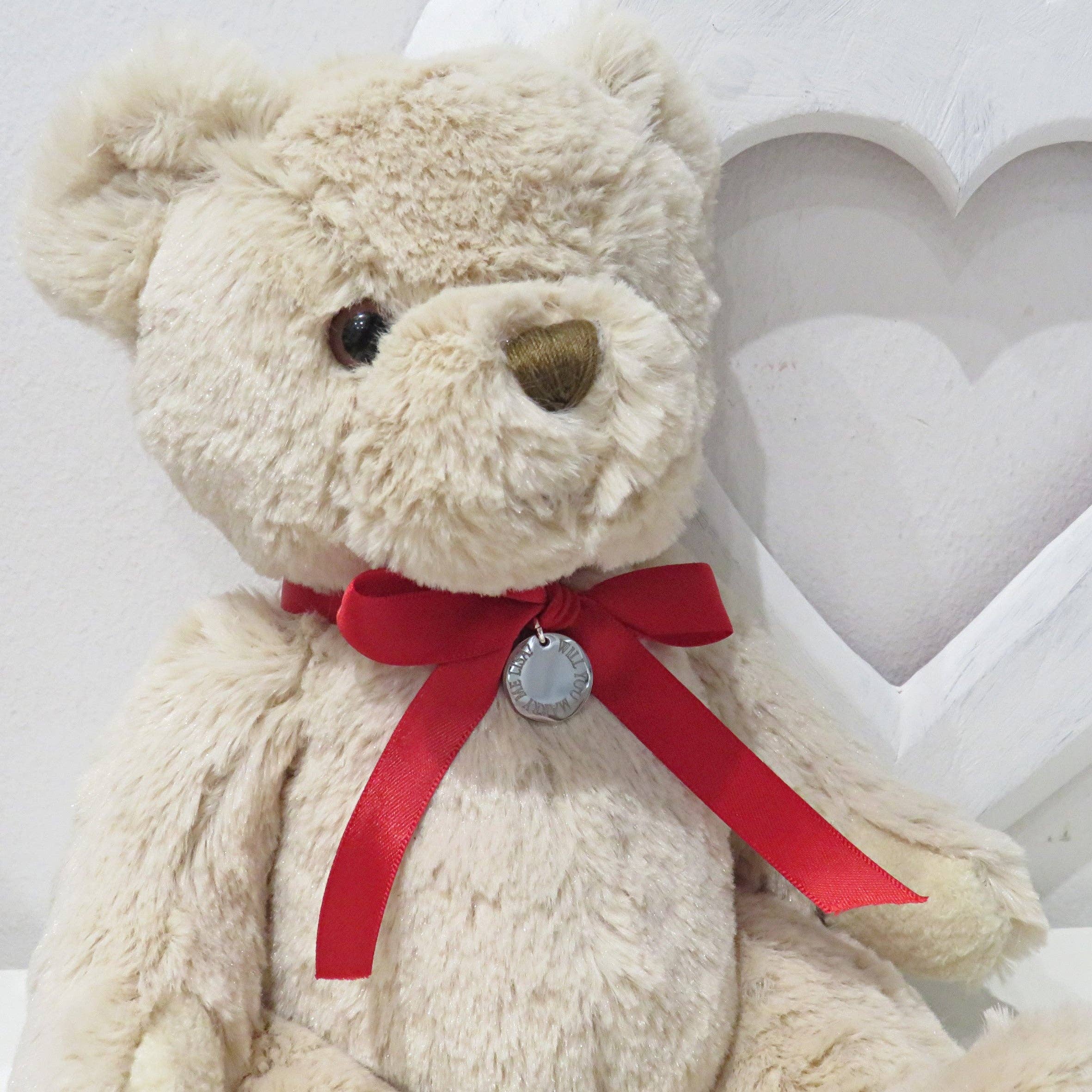 Aye Do Gifts - Wholesale Stuffed/plush toy – Kids & baby - Personalised Teddy Bear & Edge Disc, Red Ribbon1