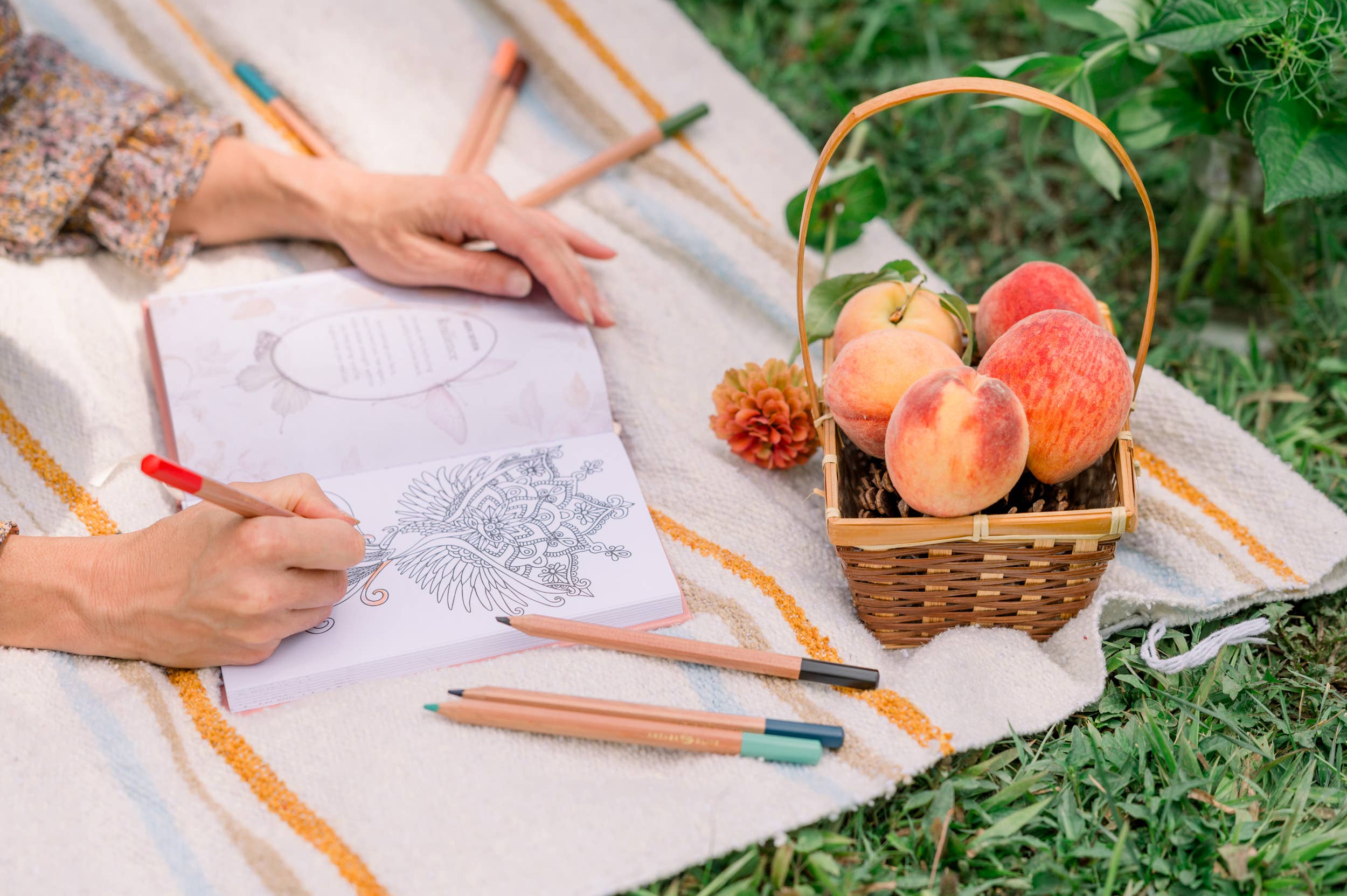 Innerlight Compass – wholesale Journal och dagbok – Daglig guidad dagbok med målarbilder12