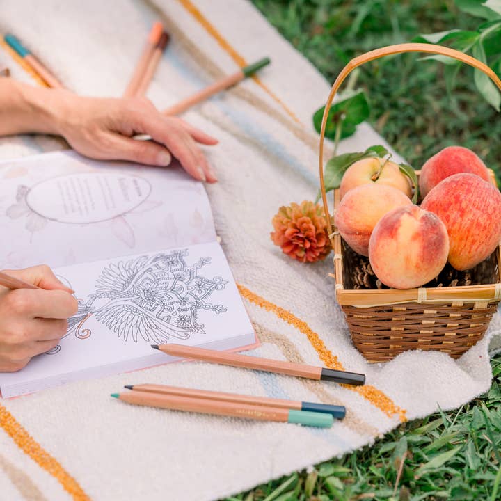 Innerlight Compass – wholesale Journal och dagbok – Daglig guidad dagbok med målarbilder12