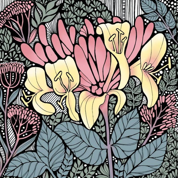 Honeysuckle 2024 for wholesale by Alff a Bet Design