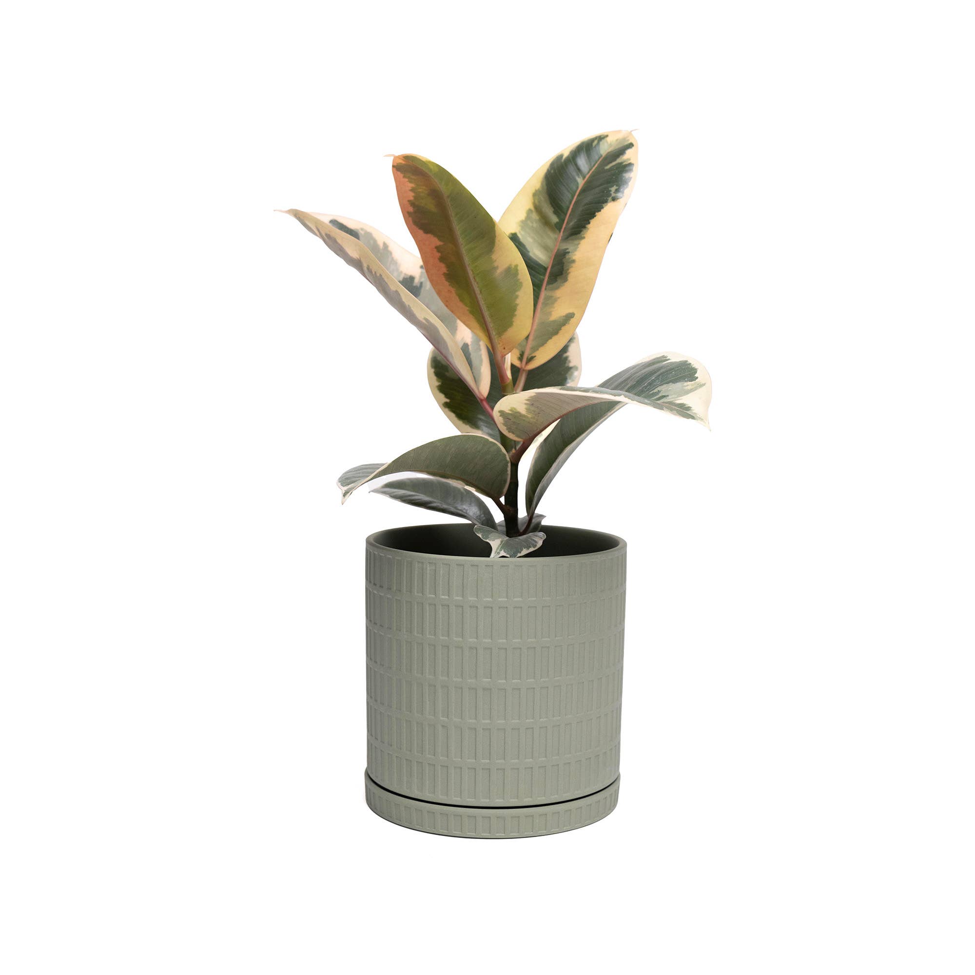 Chive - Wholesale Plant Pot - Handmade Ceramic Virago Pots | Artisan Plant Planters1