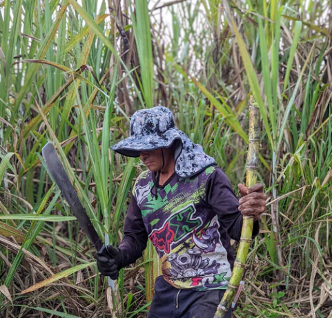 Burlap & Barrel - Wholesale Sugar/Sweetener - Panela Sugar- Foodservice - Single Origin Sugar1