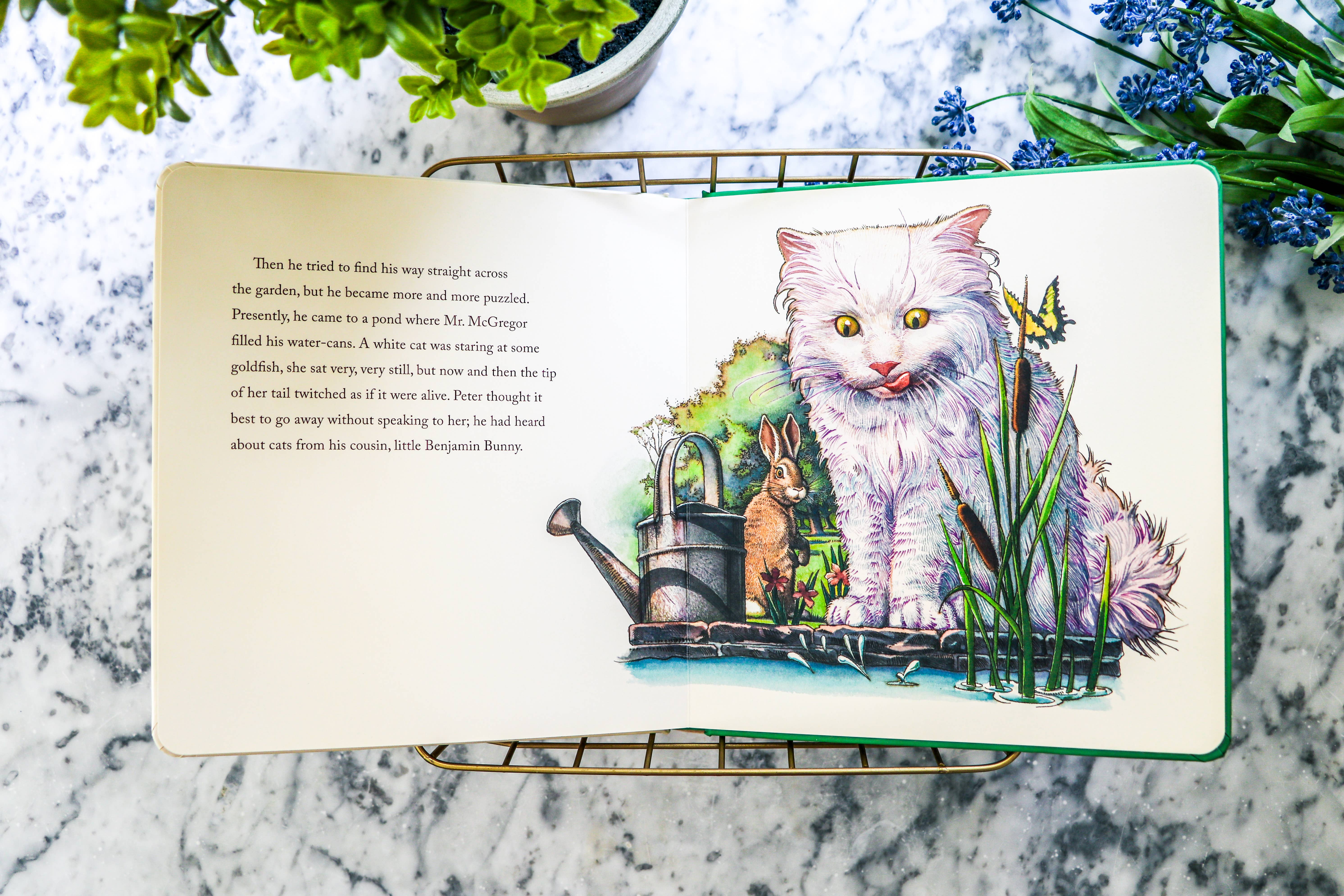 HarperCollins Focus - Wholesale Baby & Toddler Book (0-2) - The Peter Rabbit Oversized Board Book7