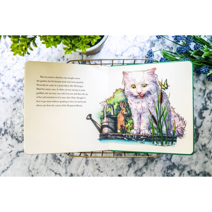 HarperCollins Focus - Wholesale Baby & Toddler Book (0-2) - The Peter Rabbit Oversized Board Book7