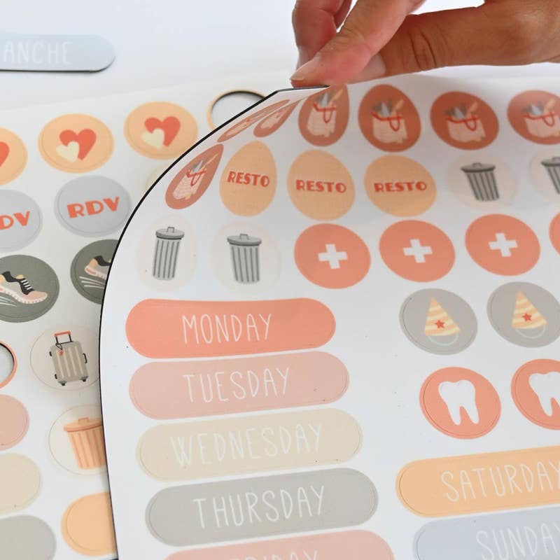 Ferflex - Venta al por mayor Imanes - Imanes para organización diaria en casa6