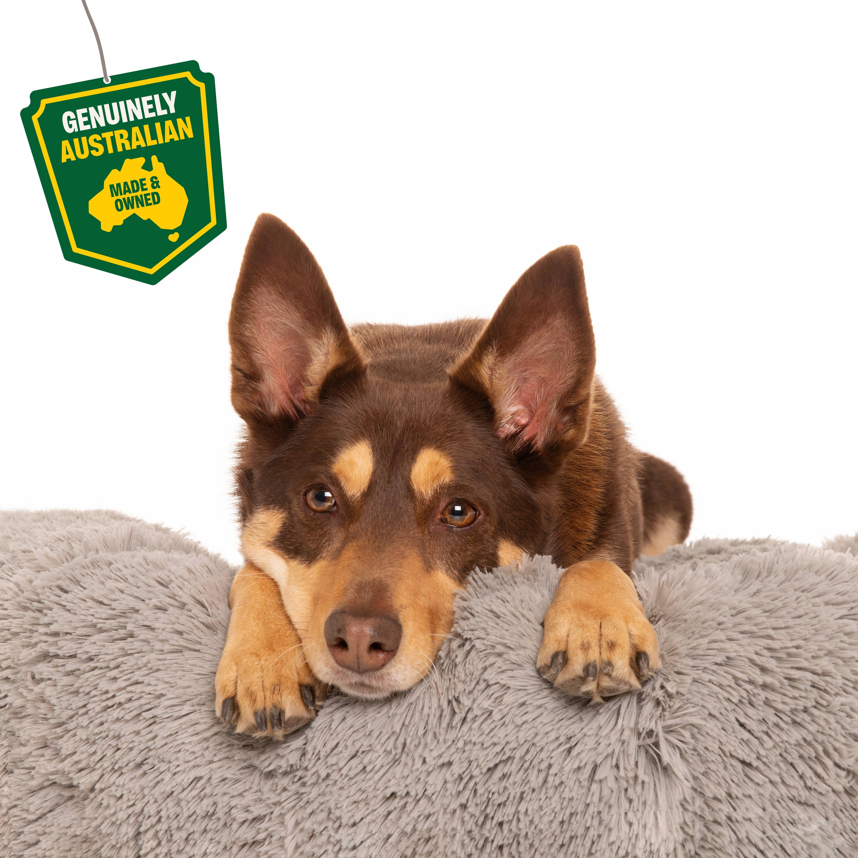 Rover Pet Products – Engroshandel Seng - Hund – Kloud9 Teddy - Australiens bedste beroligende hundeseng (lavet i Australien!)2