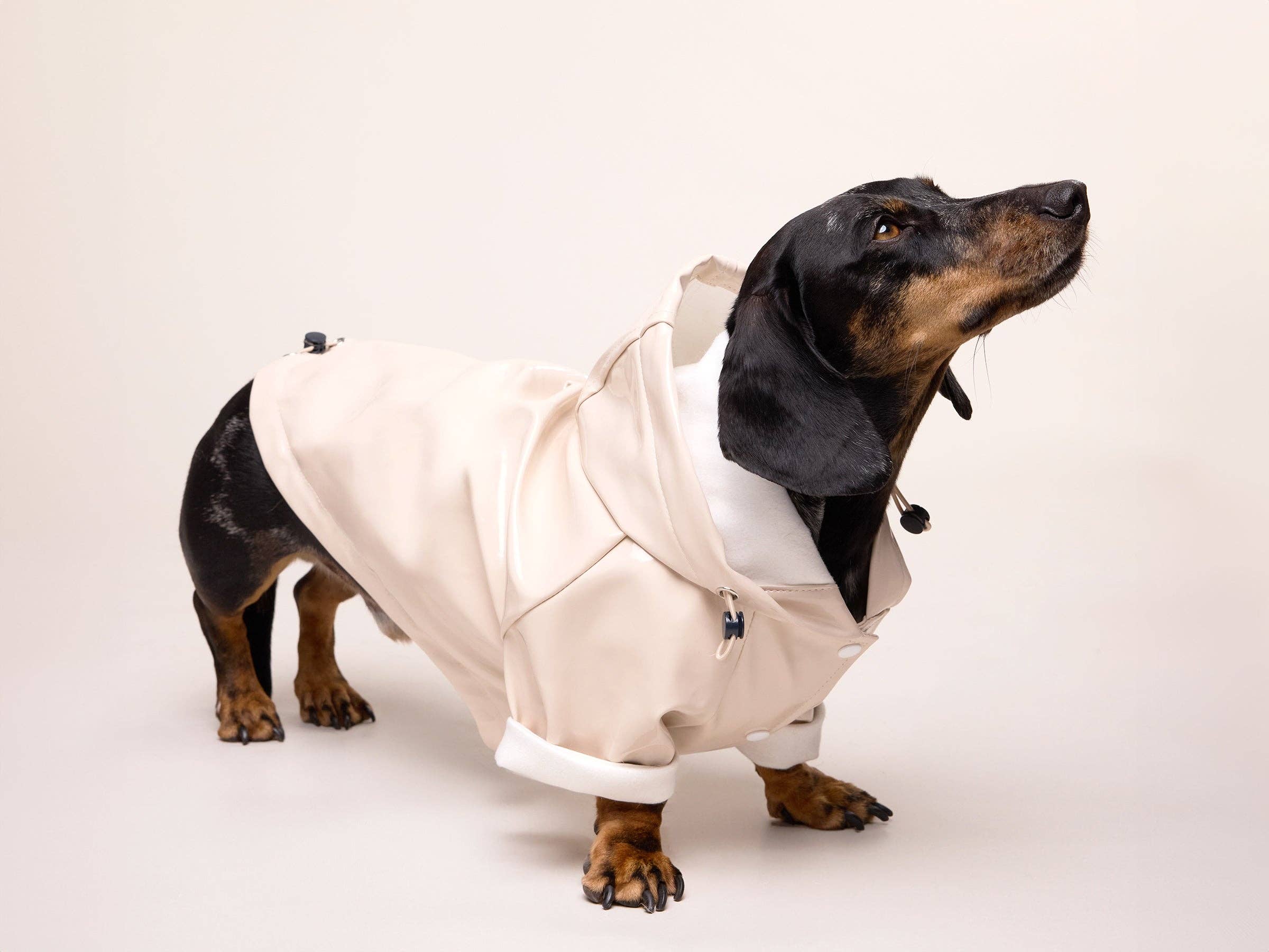 French Bandit - Wholesale Hondenregenjas - Hond - Crèmekleurige regenjas voor honden1