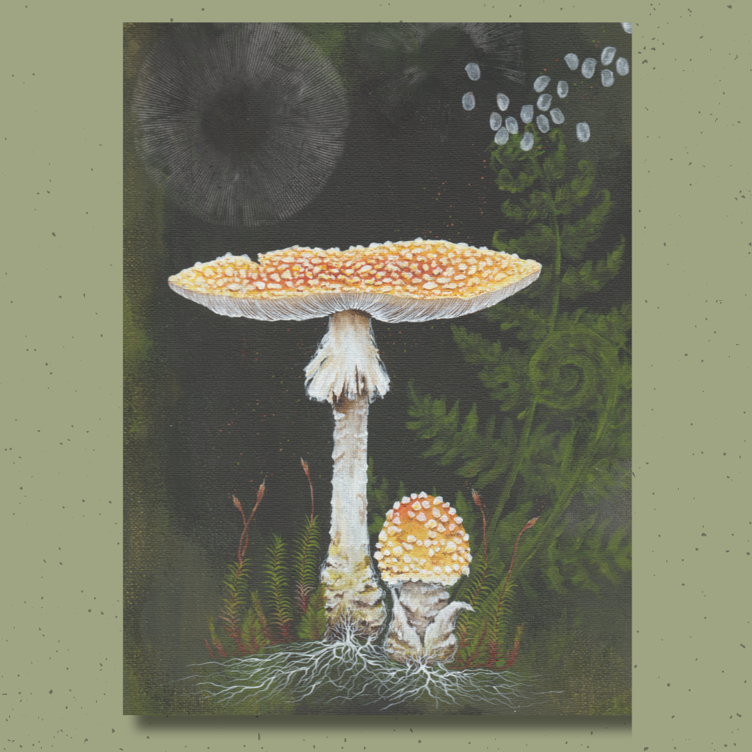 Up Moss Creek Studio - Wholesale Postcard Set - Amanita Mushroom Postcard Set6