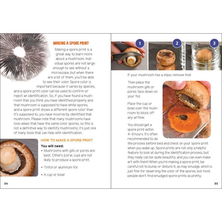 AdventureKEEN - Wholesale Nature & Outdoors - Mushrooms & Fungi for Kids7