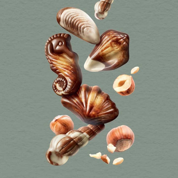 Belgium's Chocolate Source - Wholesale Chocolate Box - Guylian Praline Seashells - 22 Pc. Box (250g, 12/case)6